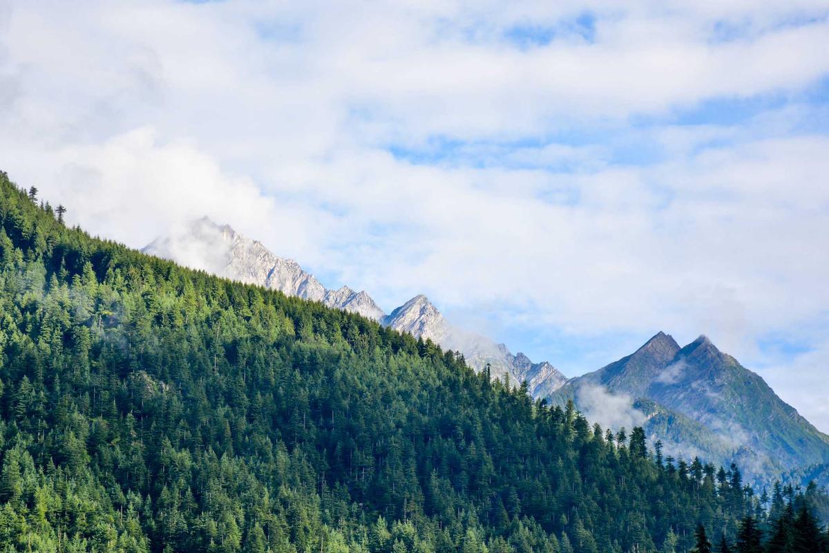 차별화된 네트워킹